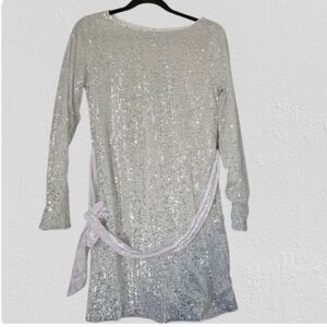 Silver Sequin Long Sleeve Dress